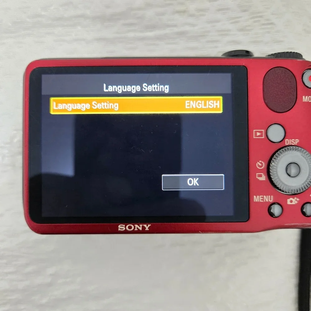 Sony Cyber-shot DSC-HX10V 18.2MP Digital Camera Red 16x Optical Zoom Bundle